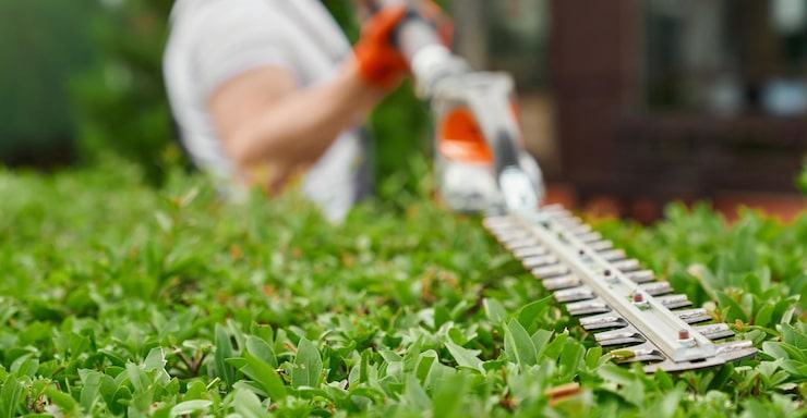 Hedge & Shrub Trimming