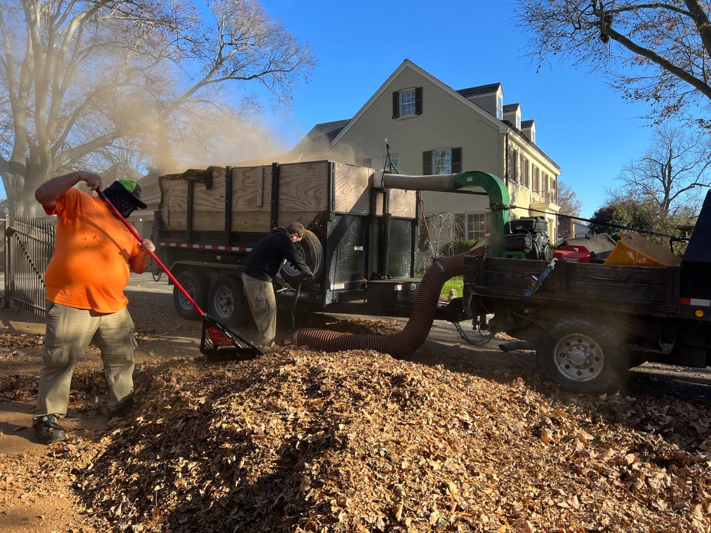 Leaf & Yard Cleanups
