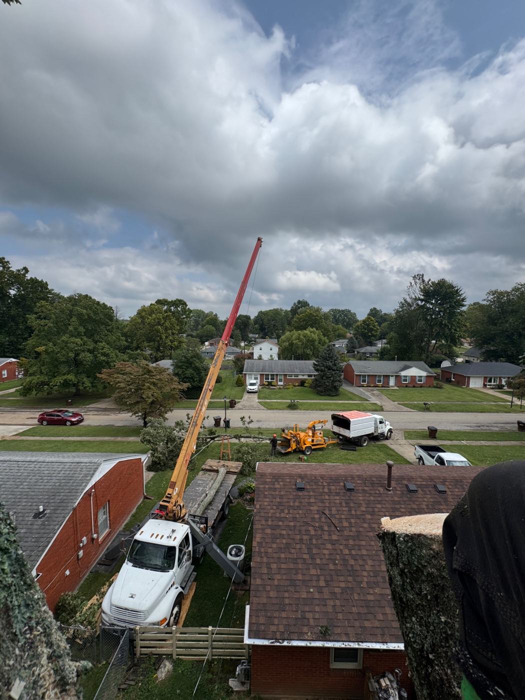 Tree Trimming & Removal